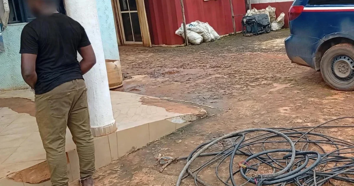 NSCDC arrests man for vandalising telecom mast in Anambra